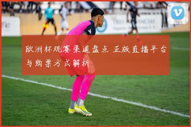 欧洲杯观赛渠道盘点 正版直播平台与购票方式解析