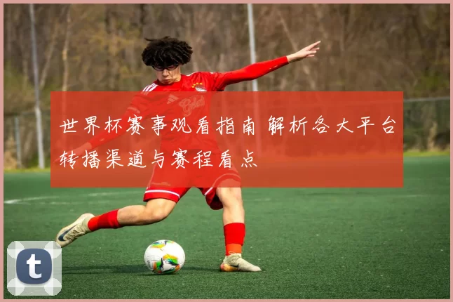 世界杯赛事观看指南 解析各大平台转播渠道与赛程看点